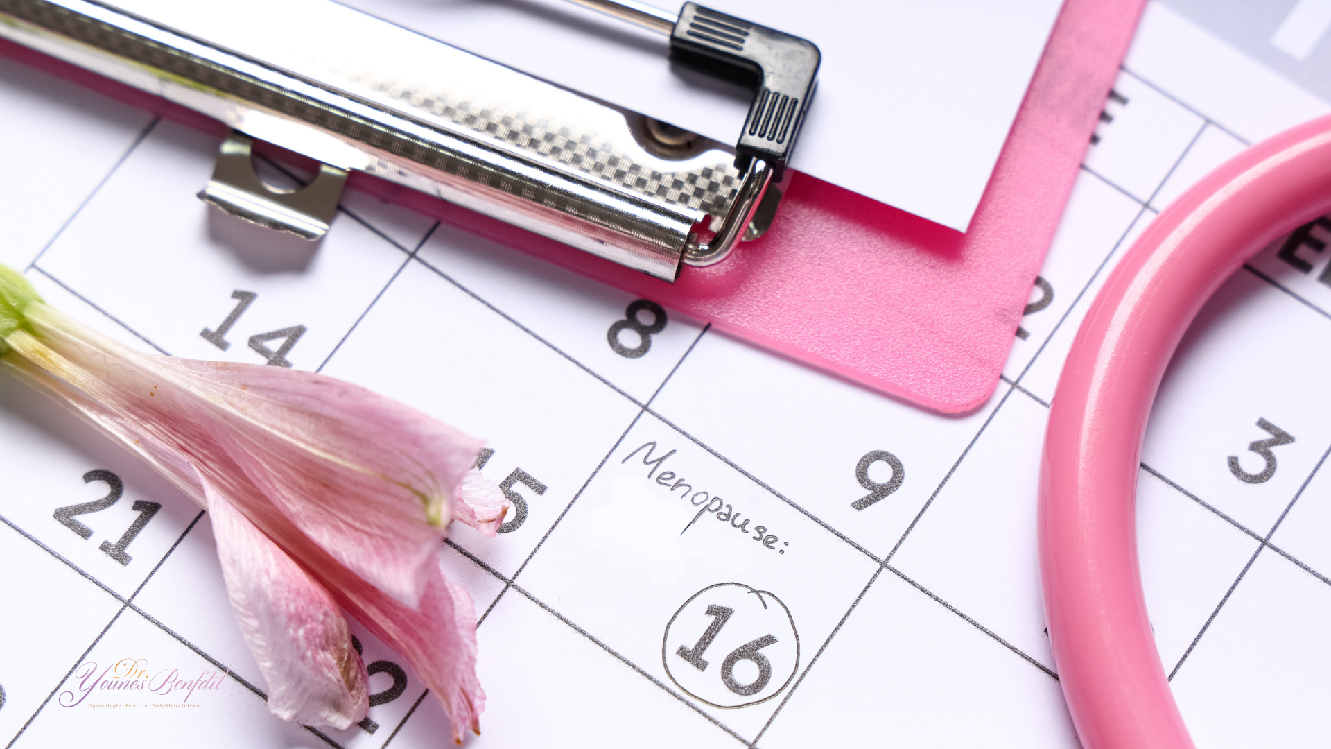 11Rajeunissement ovarien et ménopause