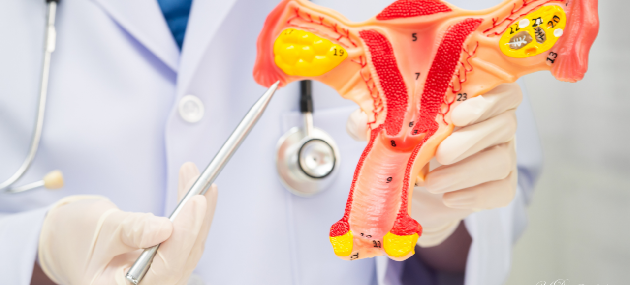 11Médecine régénérative après accouchement
